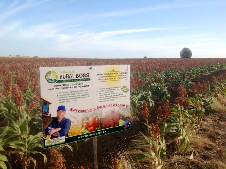 Rural Boss sorghum chick pea and wheat trials