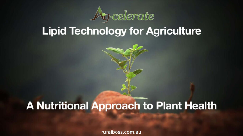 Ag-celerate - Liquid Colloidal Fertiliser